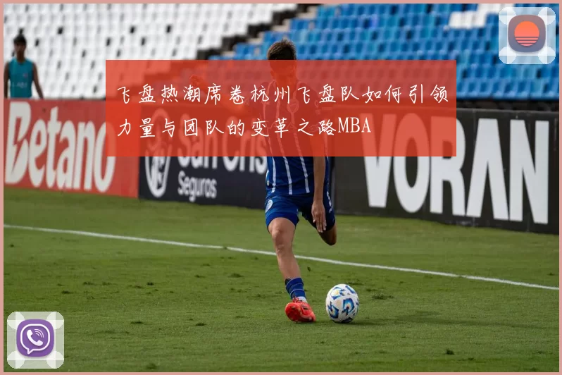 飞盘热潮席卷杭州飞盘队如何引领力量与团队的变革之路MBA